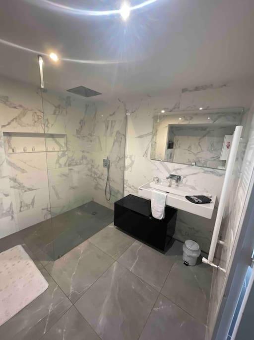 Grand Appartement Avec Vue Magnifique - Vercors - Une Experience Unique - Wifi Gratuit Grenoble Bagian luar foto