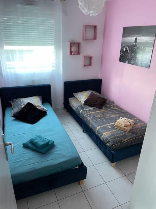 Grand Appartement Avec Vue Magnifique - Vercors - Une Experience Unique - Wifi Gratuit Grenoble Bagian luar foto