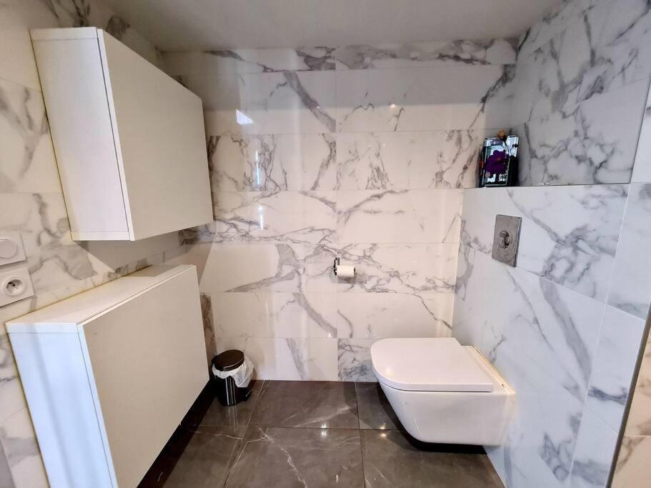 Grand Appartement Avec Vue Magnifique - Vercors - Une Experience Unique - Wifi Gratuit Grenoble Bagian luar foto
