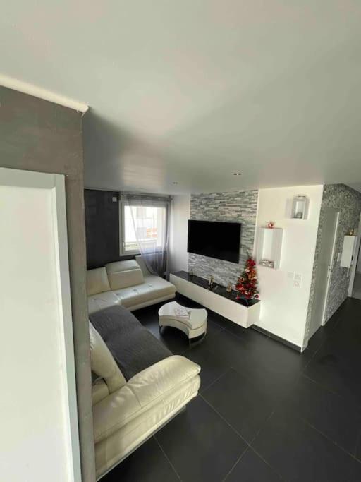 Grand Appartement Avec Vue Magnifique - Vercors - Une Experience Unique - Wifi Gratuit Grenoble Bagian luar foto
